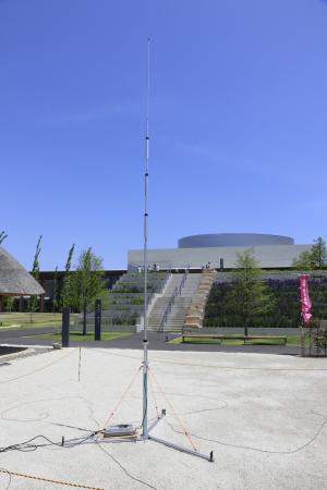 ant3