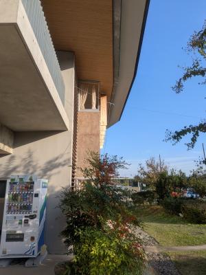 PXL_20251107_061409710