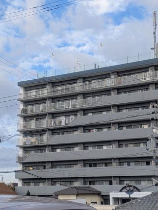 PXL_20251111_233318187S