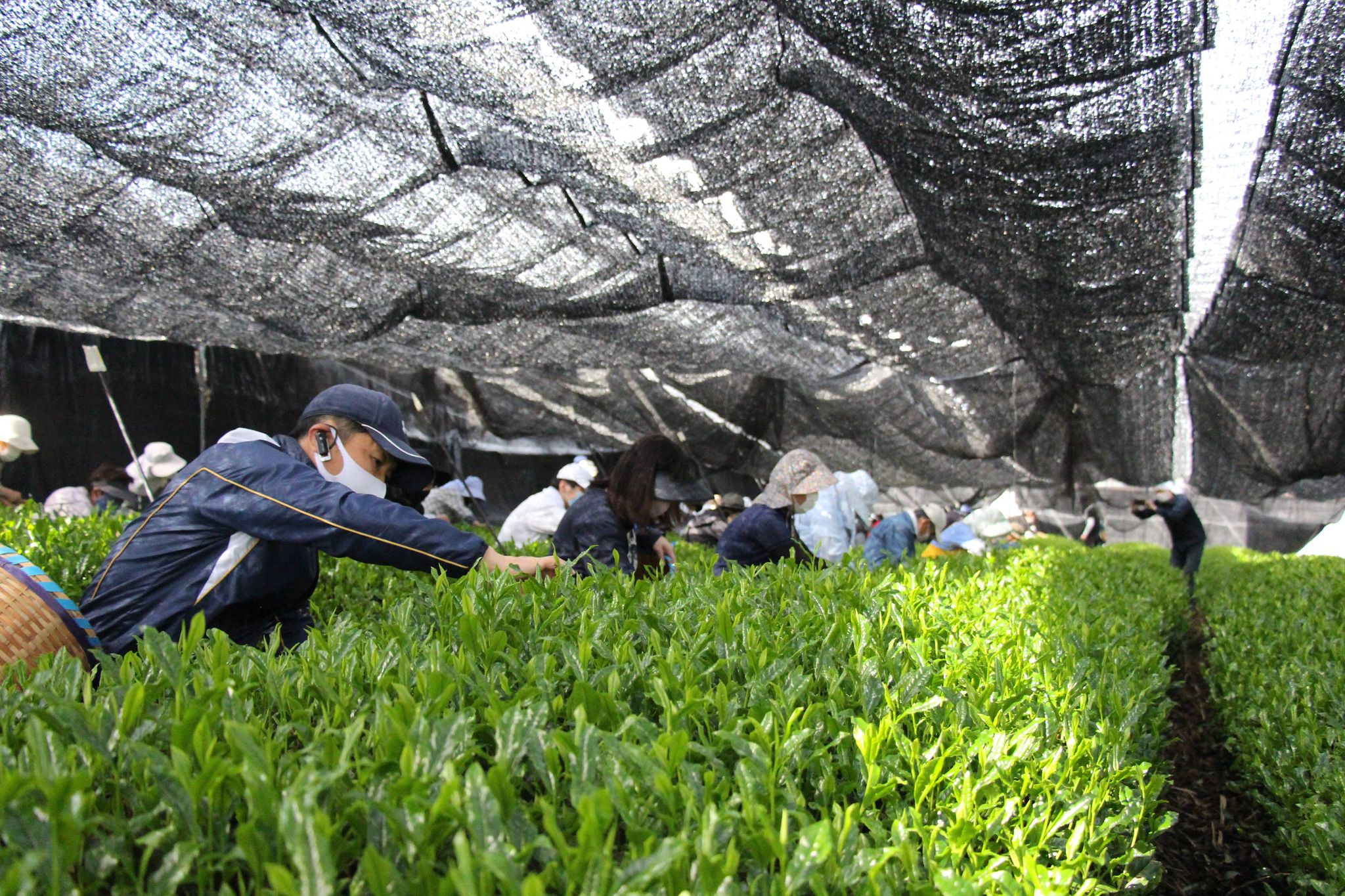 195241123_137882735073315_2040774552371308534_n